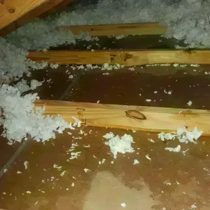 Attic Water Damage in Harlan, KY