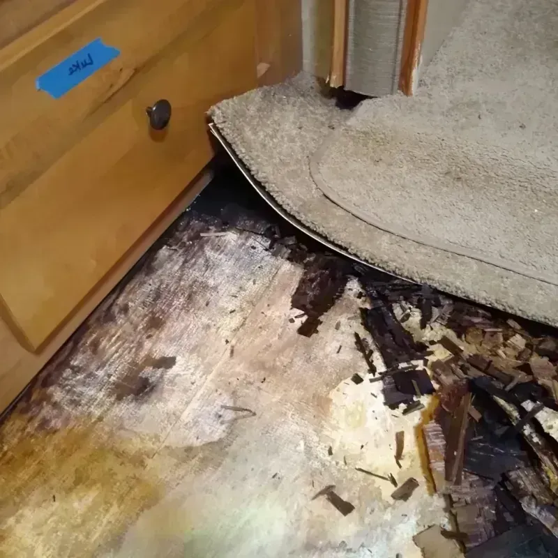 Best Wood Floor Water Damage Service in Harlan, KY